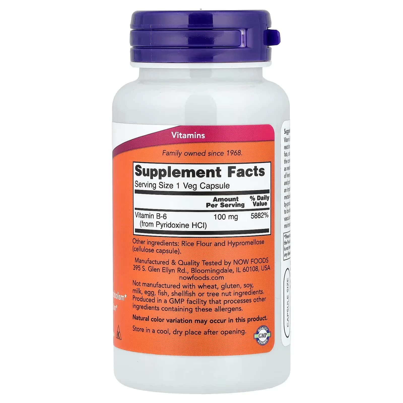 NOW Foods B-6 100 mg Veg Capsules | Buy in Pakistan