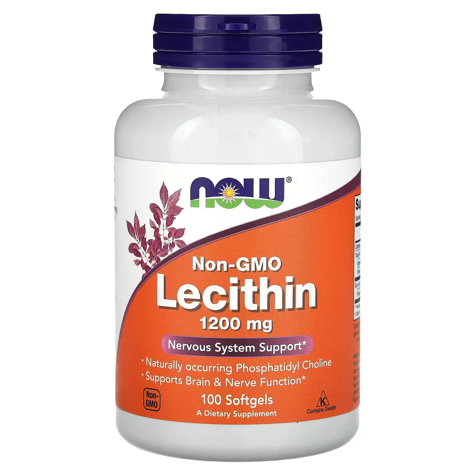 Original NOW Foods Non-GMO Lecithin | Buy in Pakistan