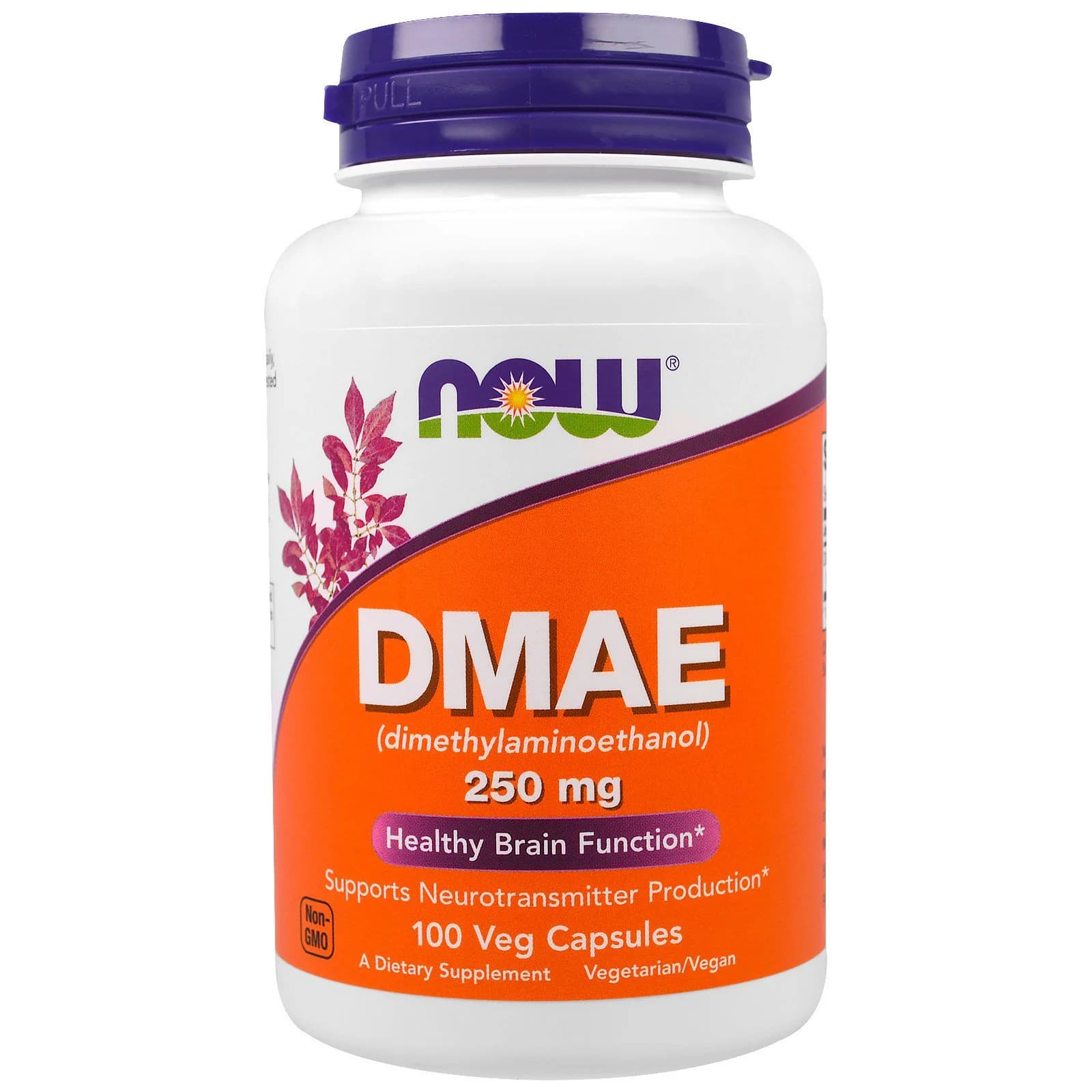 NOW Foods DMAE 250 mg 100 Veg Capsules | Buy in Pakistan