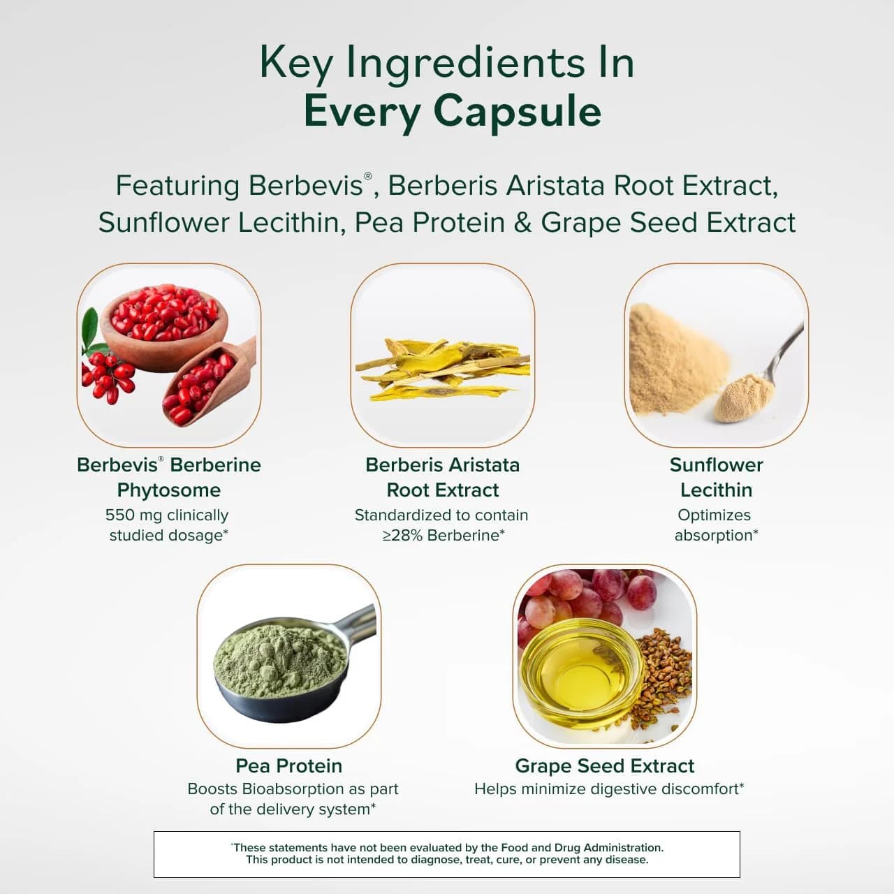 Prominent Resveratrol Root Extract in Pakistan - Well Mart - Highly Purified