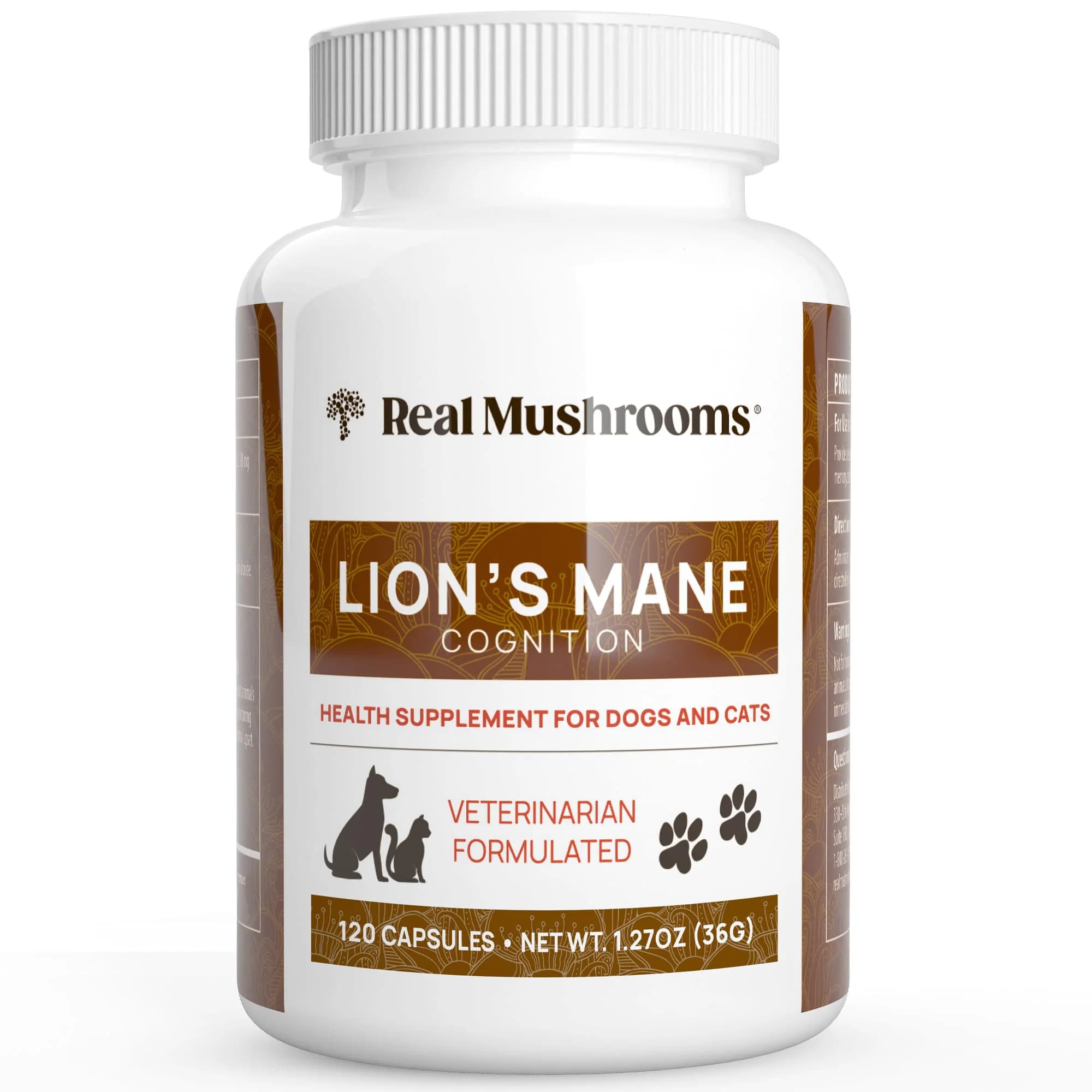 Real Mushrooms Lion Mane Supplement In Pakistan, Boosts Memory