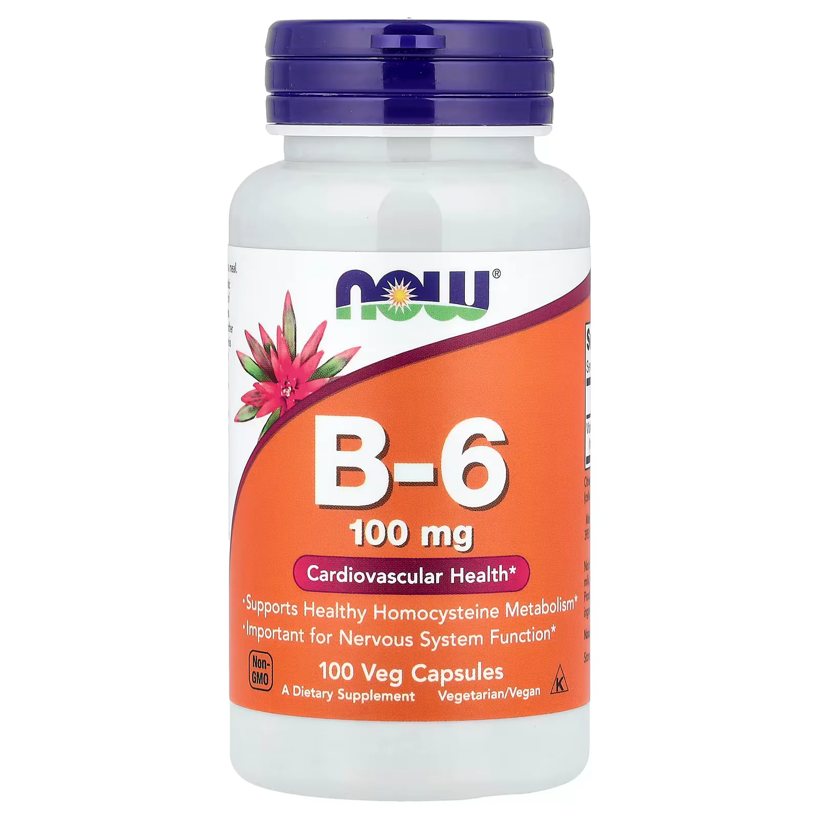 NOW Foods B-6 100mg Veg Capsules