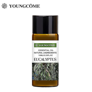 Youngcome Eucalyptus Essential Oil