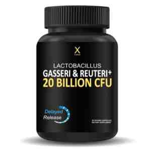 Human X Lactobacillus Gasseri and Reuteri – 20 Billion CFU