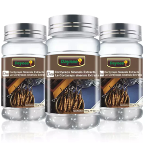 Daynee Cordyceps Sinensis Extract Capsules