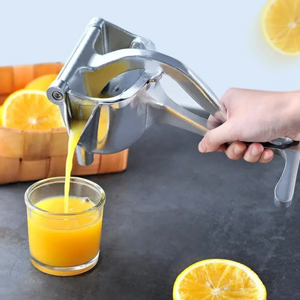 Hand Press Juicer