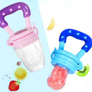 2-in-1 Fruit Pecifier & Teething Toy