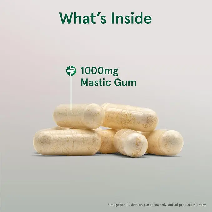 Jarrow Formulas Mastic Gum 1000 mg