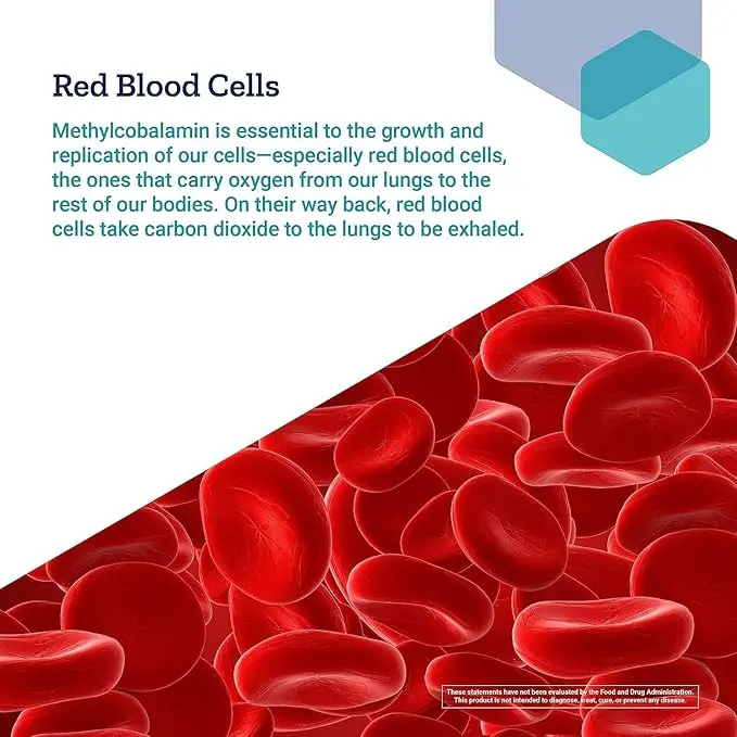 Life Extension Vitamin B12 (Methylcobalamin) 500 mcg