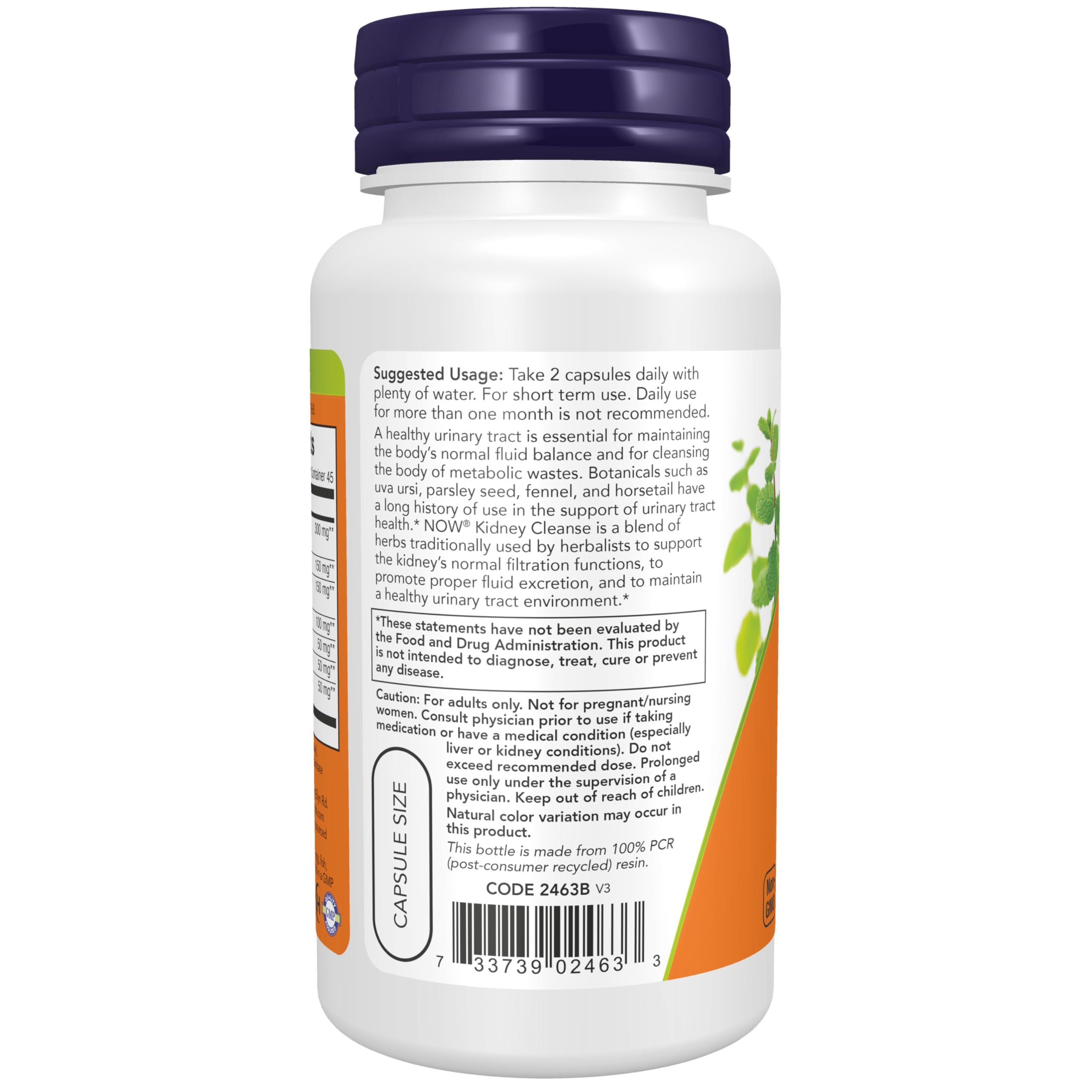 NOW Foods, Kidney Cleanse, 90 Veg Capsules