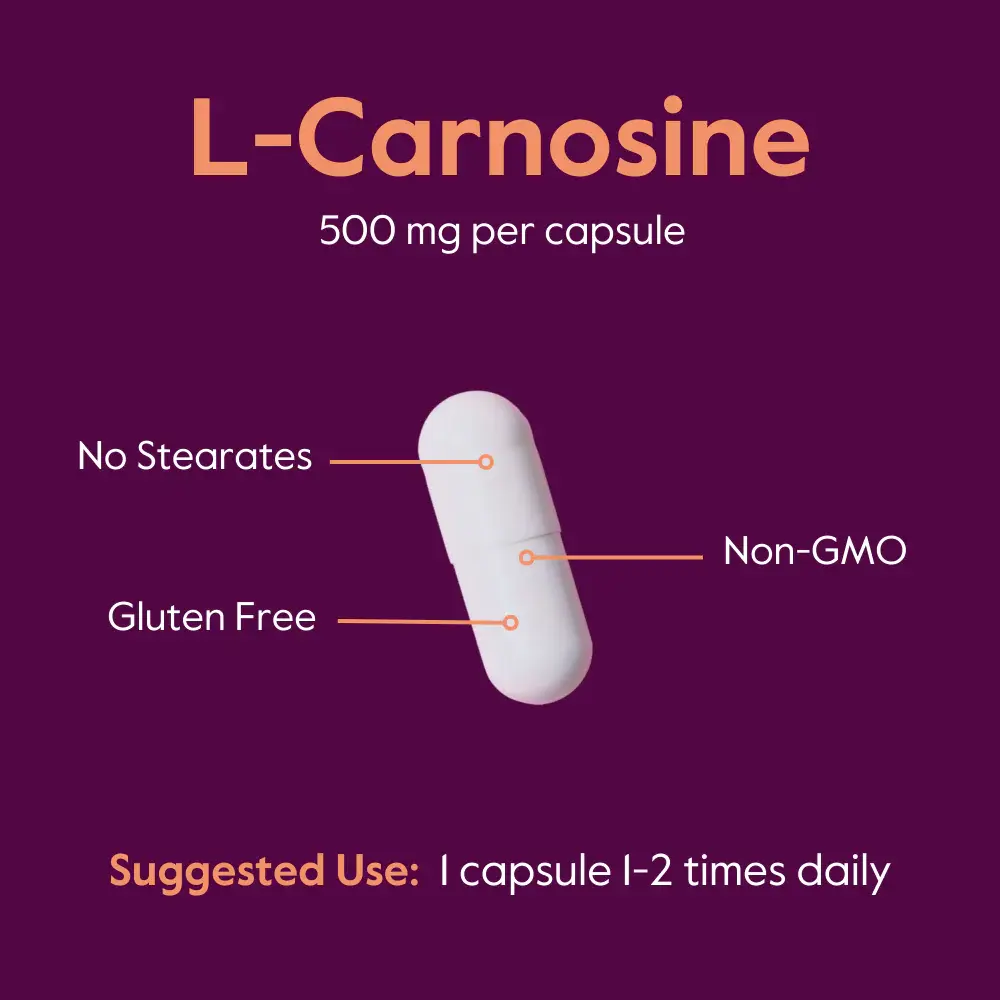 Bestvite L-carnosine 500 Mg Capsules