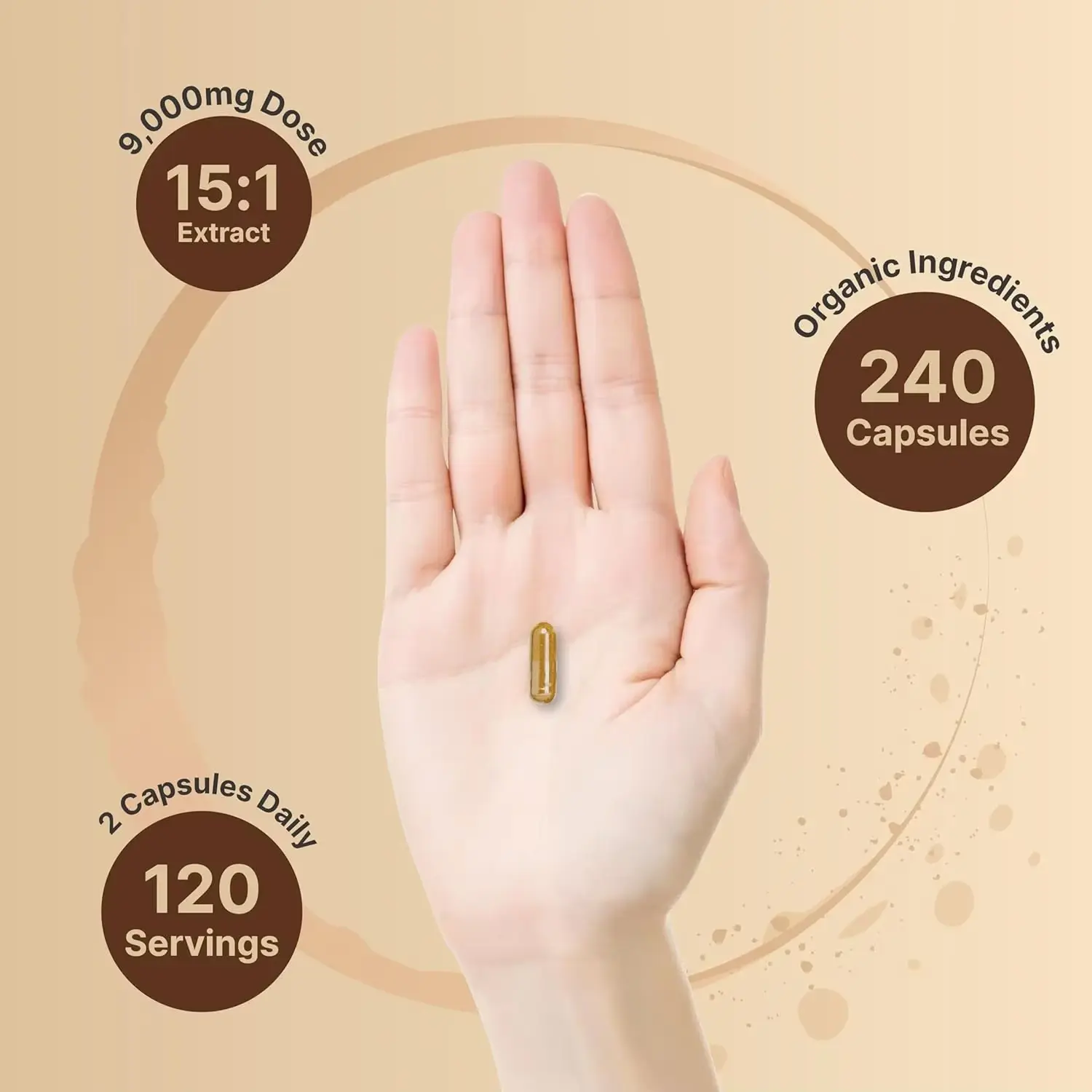 Lion Mane Mushroom Capsules