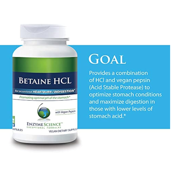 Enzyme Sciences Betaine Hcl Capsules