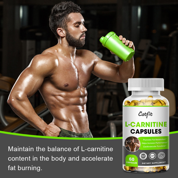Catfit L-carnitine Capsules
