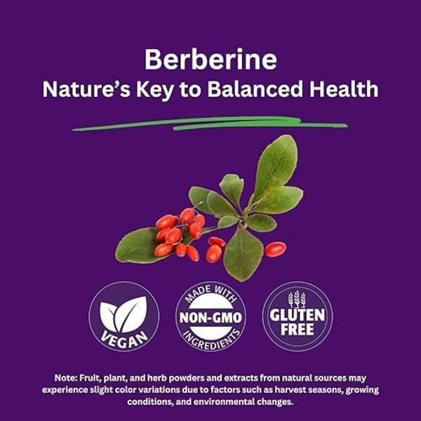 Paradise Berberine Extract Supplement