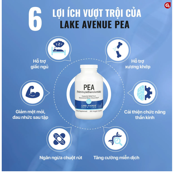 Lake Avenue Nutrition Pea Palmitoylethanolamide Capsules