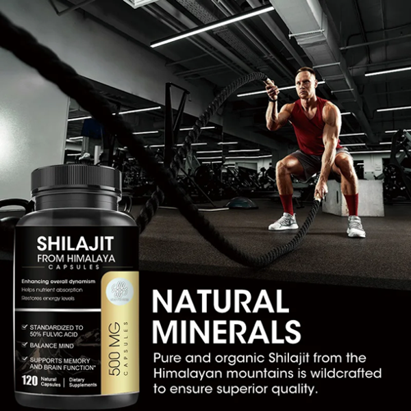 Shilajit From Himalaya Capsules