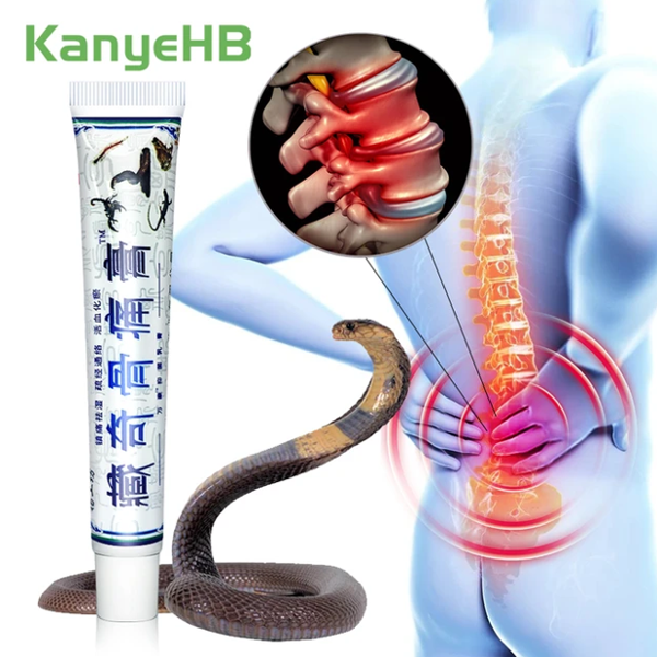kanyehb Arthritis Ointment Body Snake Oil