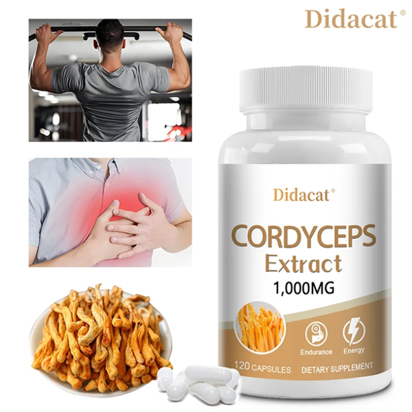 Didacat Cordyceps Extract 1000mg Capsules