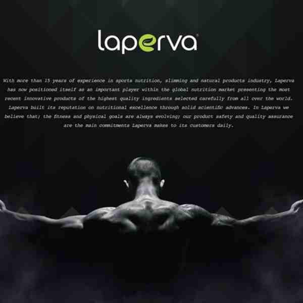 Laperva LIPO CUT Thermo Blend 90 Capsules