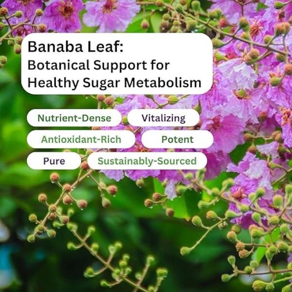 Paradise Banaba Leaf Extract Supplement