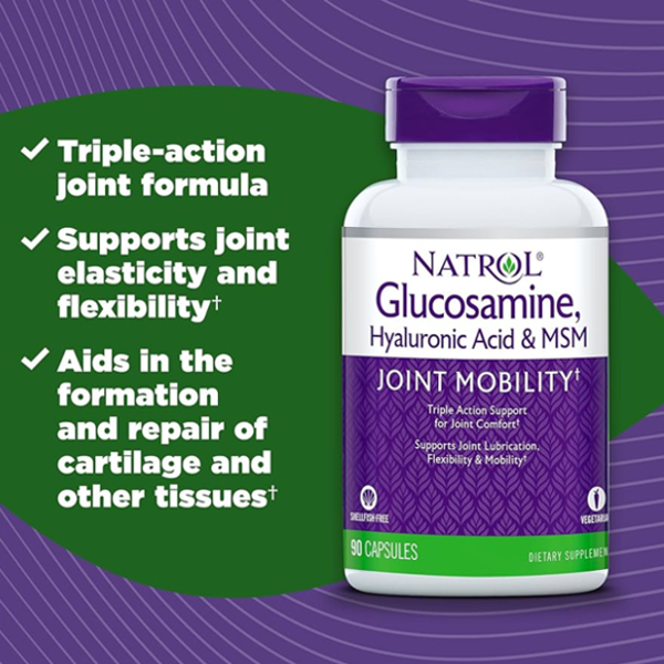 Natrol Glucosamine Chondroitin MSM Capsules