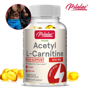 Pslalae Acetyl L-Carnitine 500 Mg
