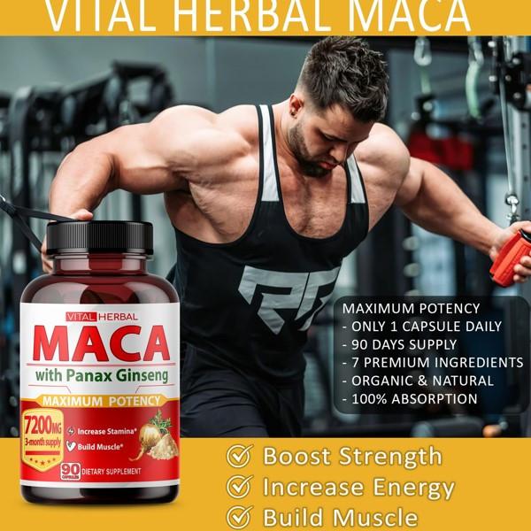 Vital Herbal Maca Ashwagandha + Panax Ginseng